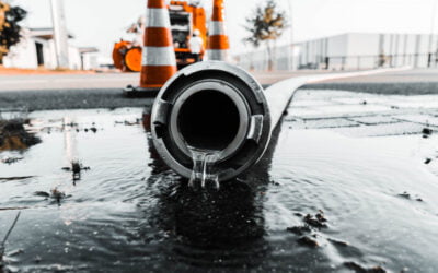 The Top 4 Causes Of Sewer Damage