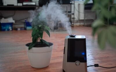 5 Ways To Increase Your Home’s Humidity In Winter