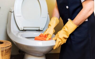 Things That Are Terrible To Flush Down The Toilet